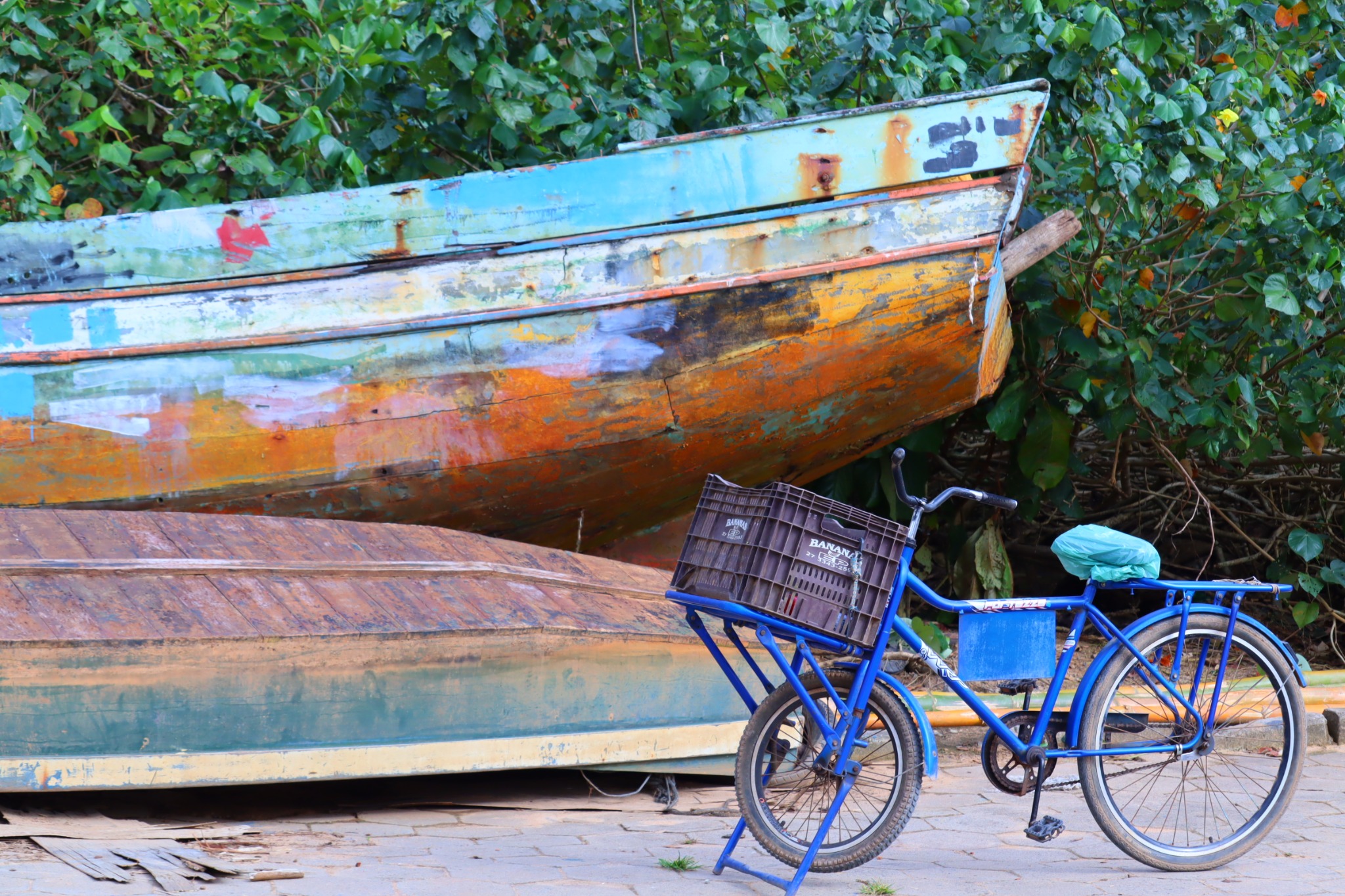 Barcos e bicicleta junto à vegetação