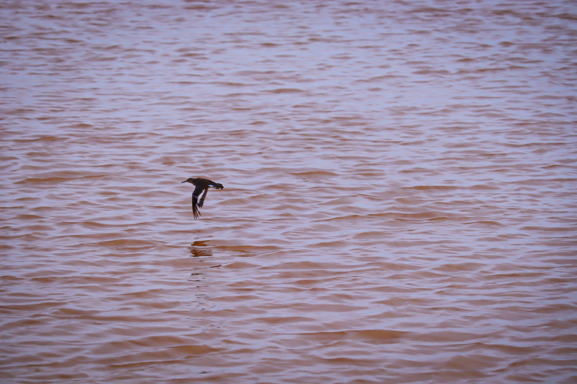 Registro da pesquisa de Onda Cabocla entre o rio e o mar